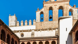 ¿Qué es un Despido Improcedente y Cómo Puedes Reclamar?